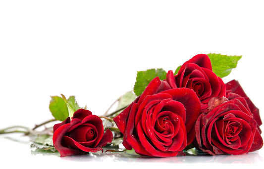 Number Of Roses Meaning: 1-100 Roses & What Each Bouquet Symbolises