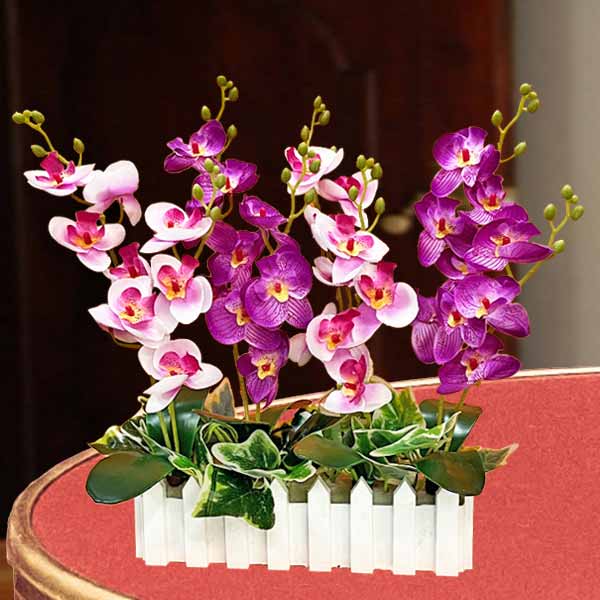 Artificial Phalaenopsis Orchid Arrangement In Plastic Fence Planter Box Container