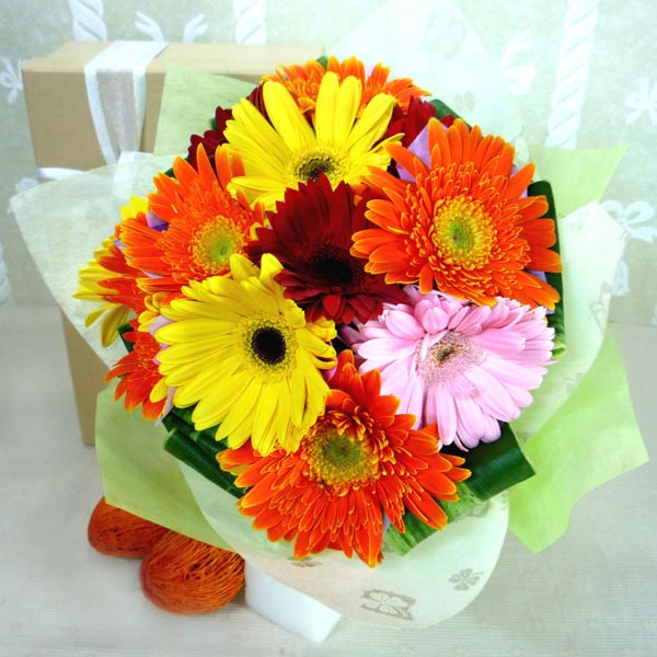 12 Mixed Gerberas Handbouquet