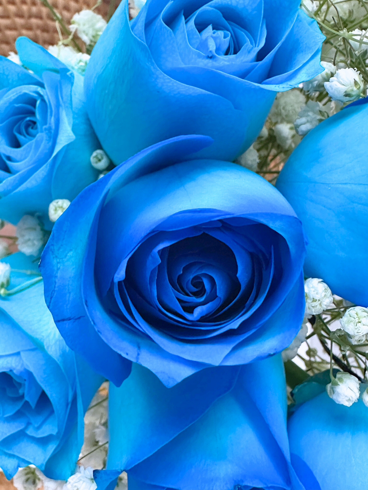 Rosy Raffles (Blue)