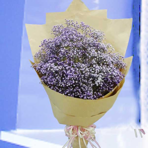 Purple Baby&#39;s-breath ( Gypsophila ) Hand Bouquet.