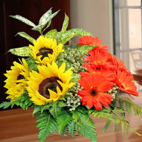 3 Sunflower with 8 Gerbera Table Arrangement