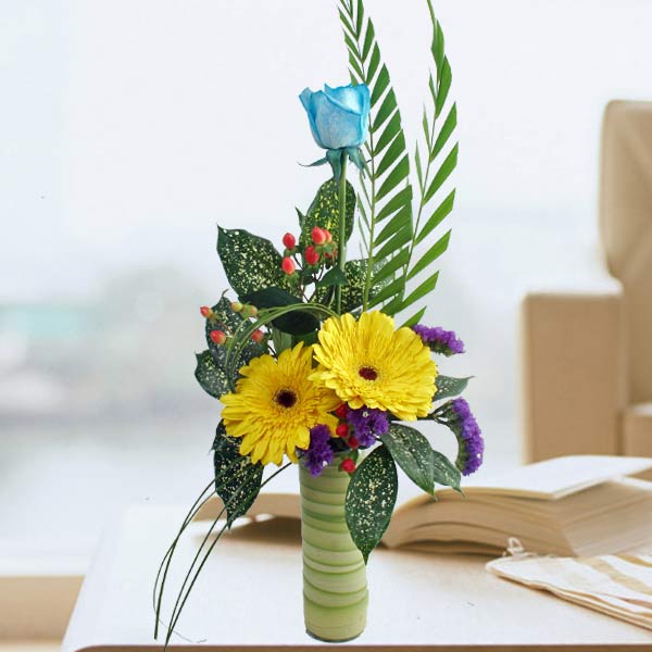 Blue Rose and Yellow Gerbera Arrangement