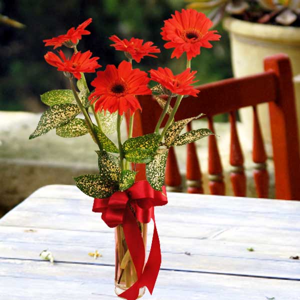 6 Red Gerberas in Glass Vase Table Arrangement